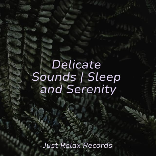Delicate Sounds | Sleep and Serenity - Meditation Awareness