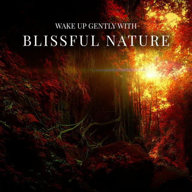 Wake Up Gently with Blissful Nature - Zen Natural Sounds