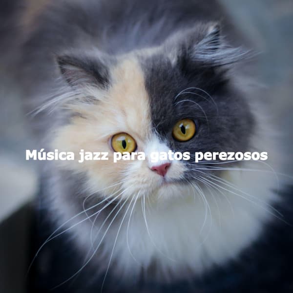 Música jazz para gatos perezosos - Night Club Jazz Deluxe