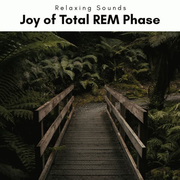 1 Joy of Total REM Phase - JBE Nature Sounds