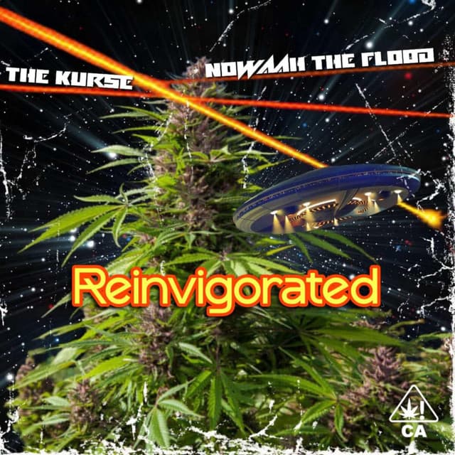 Reinvigorated - Nowaah The Flood