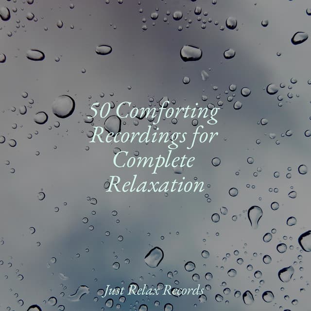 50 Comforting Recordings for Complete Relaxation - Sonidos De Lluvia y Tormentas