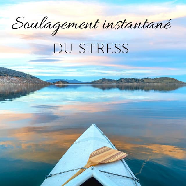 Soulagement instantané du stress: Émotions négatives de désintoxication, Musique de sommeil calme - Club de Méditer de Détendre