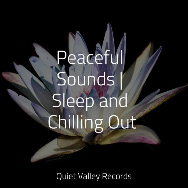 Peaceful Sounds | Sleep and Chilling Out - Schlaflieder Für Kinder