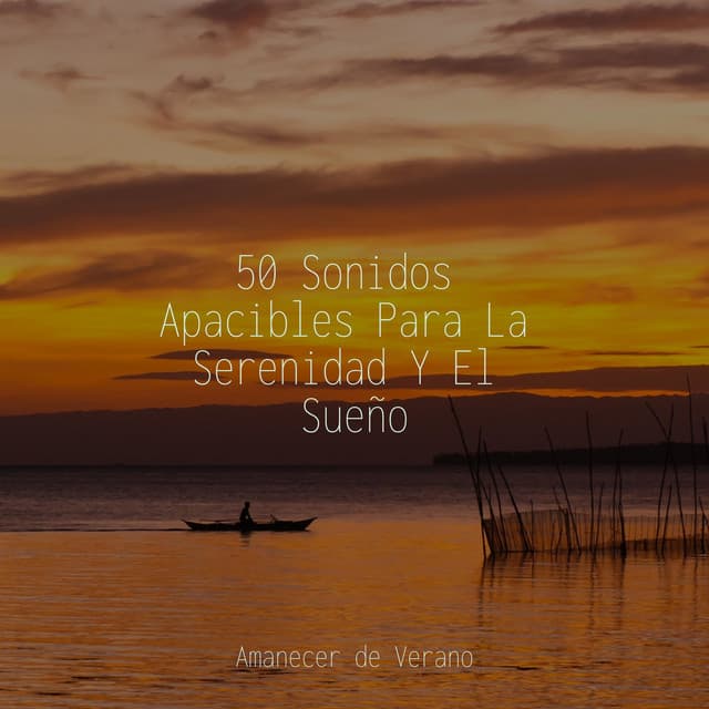 50 Sonidos Apacibles Para La Serenidad Y El Sueño - Calm Music for Studying