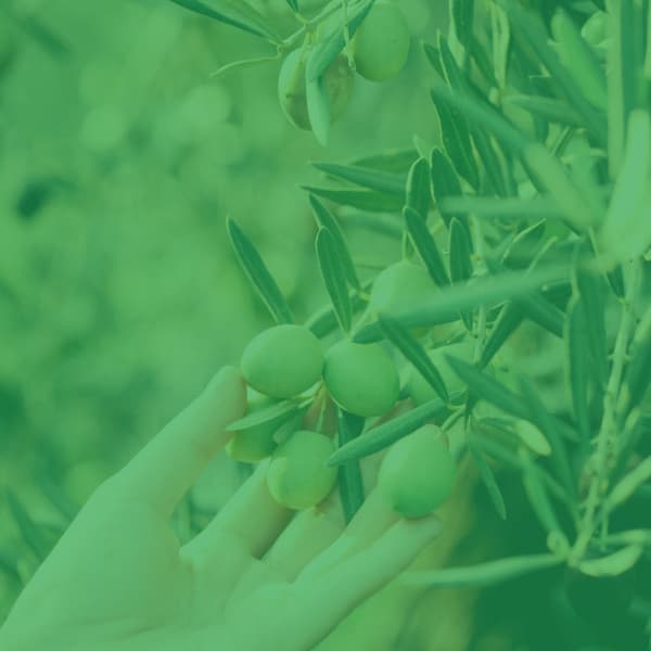 Music for Yoga Nidra - ASMR Music - Yoga Music Play List