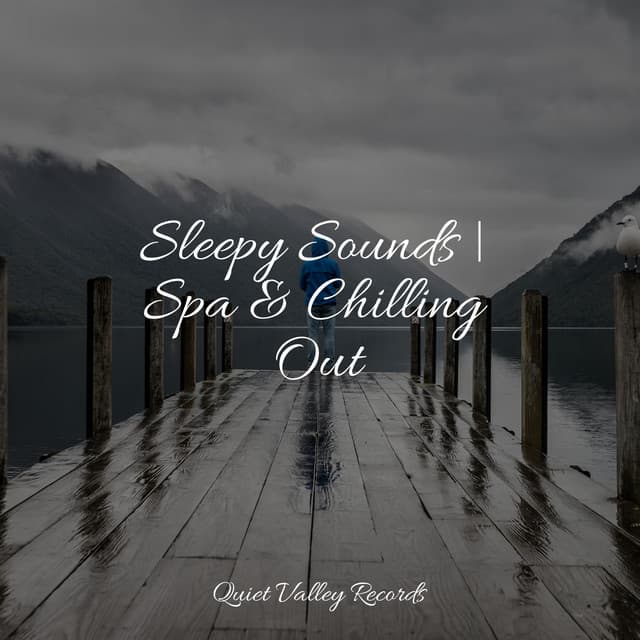 Sleepy Sounds | Spa & Chilling Out - Relaxation