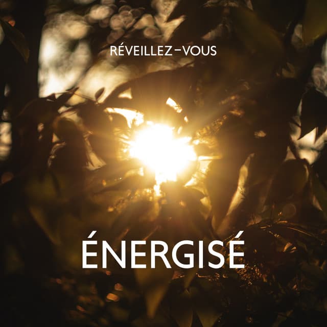 Réveillez-vous énergisé : Musique relaxante pour une soirée calme, Sommeil et soulagement du stress, Pleine conscience avant de dormir - Oasis Relaxante Pour Dormir