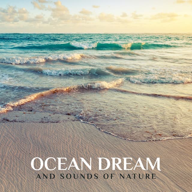 Ocean Dream and Sounds of Nature: Calm Down Before Sleep, Deep Relax at Night - Nature Music Sanctuary