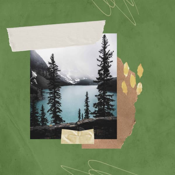 Guitar Jazz - Background for Comfortable Night - Deluxe Cafe Music