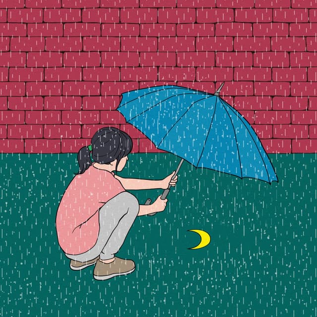 Rainy Day - The Bonsai