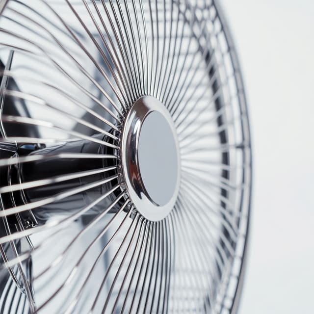 White Noise Loopable