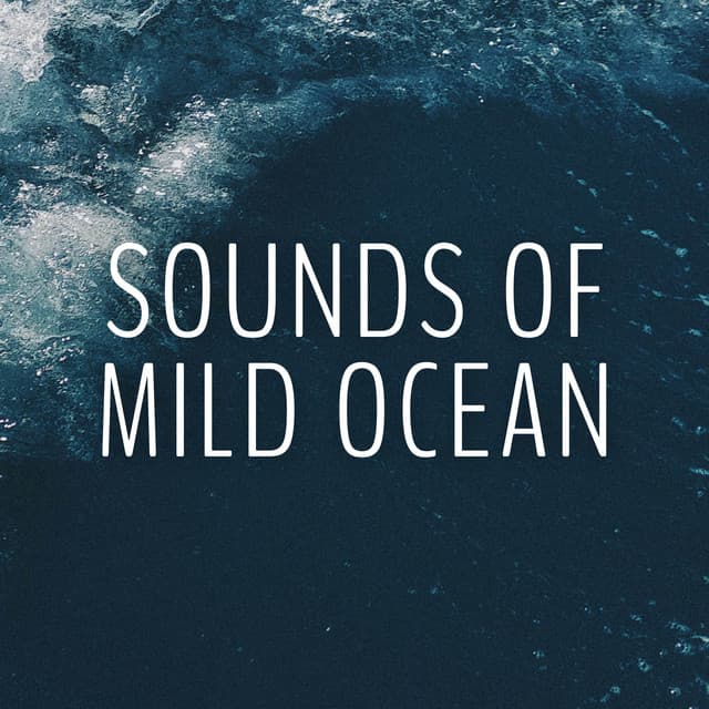 Sounds of Mild Ocean - Ocean Sounds