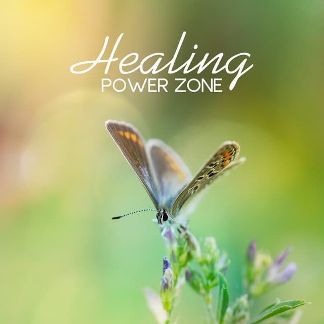 Healing Power Zone: Top 50 Music for Meditation, Yoga, Relaxation & Spa, Nature Zen Sounds to Reduce Stress, Music Therapy - Body Soul Music Zone