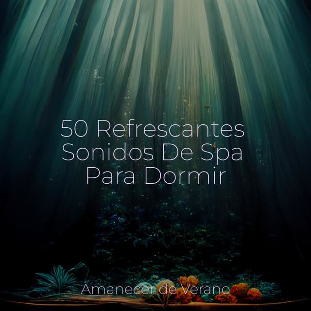 50 Refrescantes Sonidos De Spa Para Dormir - Saludo al Sol Sonido Relajante