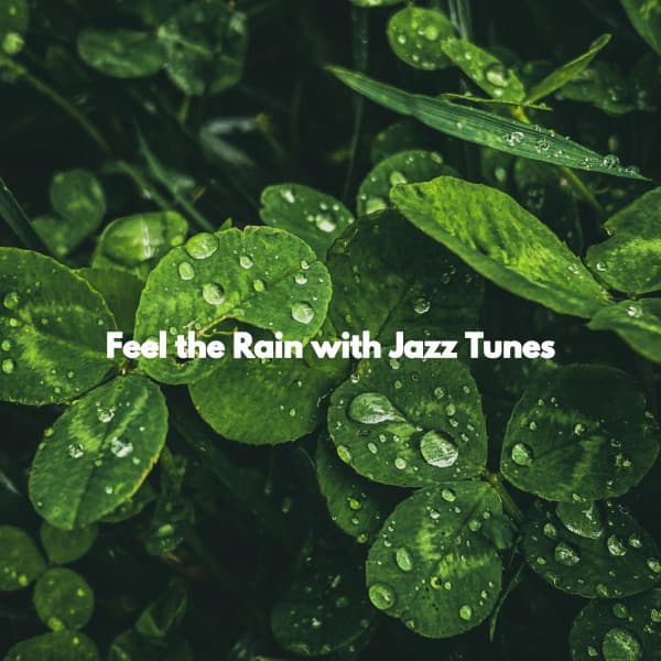 Feel the Rain with Jazz Tunes - Soft Background Music