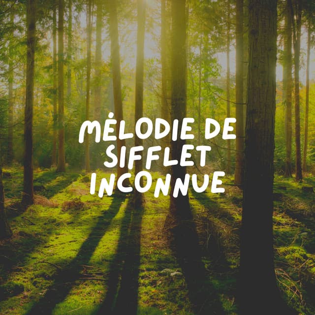 Mélodie de Sifflet Inconnue - Zen Ambiance D'eau Calme