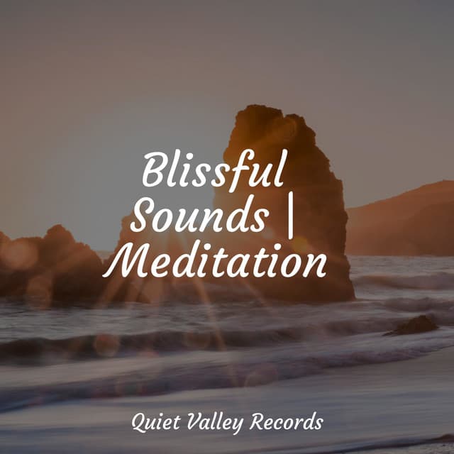 Blissful Sounds | Meditation - Weather Sounds