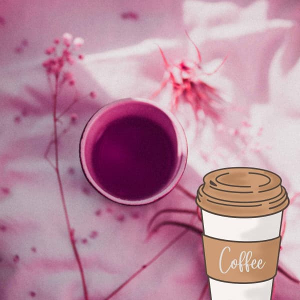 Bossa Guitar Trio - Ambiance for Chilled Essentials - Musica per la Colazione