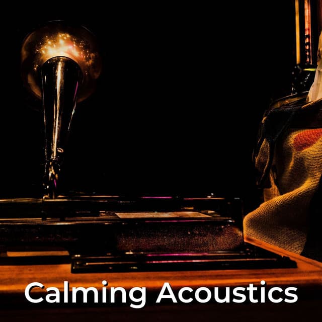 Calming Acoustics - Soulful Symphony