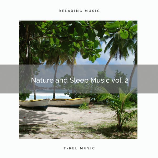 2021 Nature and Sleep Music vol. 2 - World Recorders