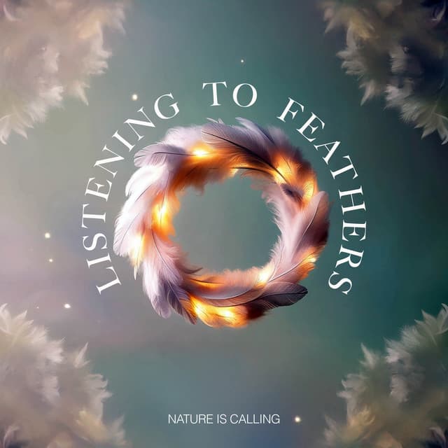 Listening to Feathers - Nature Is Calling