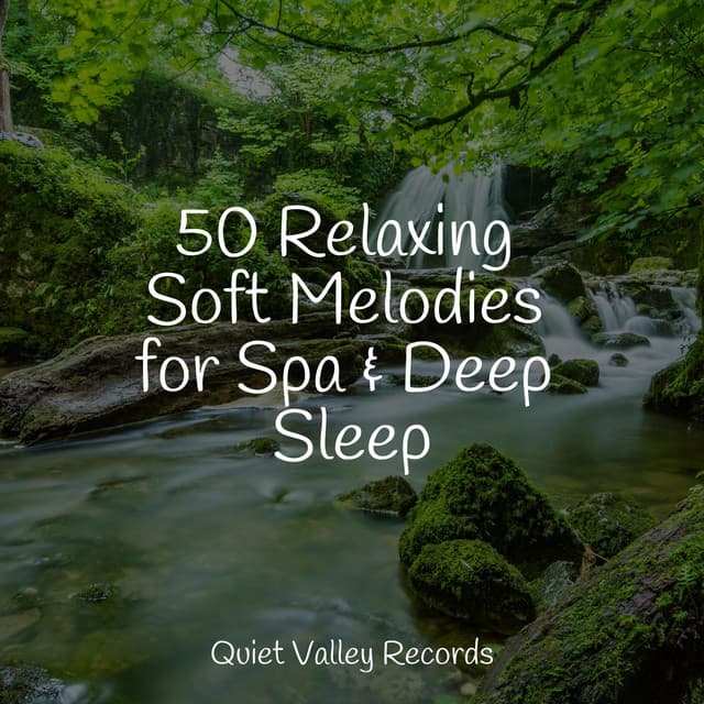 50 Relaxing Soft Melodies for Spa & Deep Sleep - The Relaxing Sounds of Swedish Nature