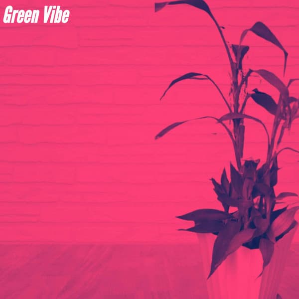 Green Vibe - Classy Cafe Jazz Music