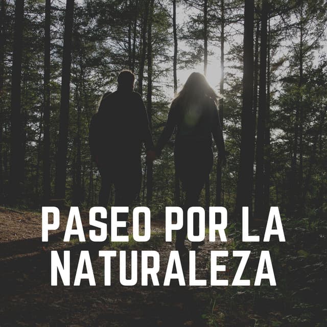 Paseo por la Naturaleza - Sonidos de la Naturaleza para Dormir