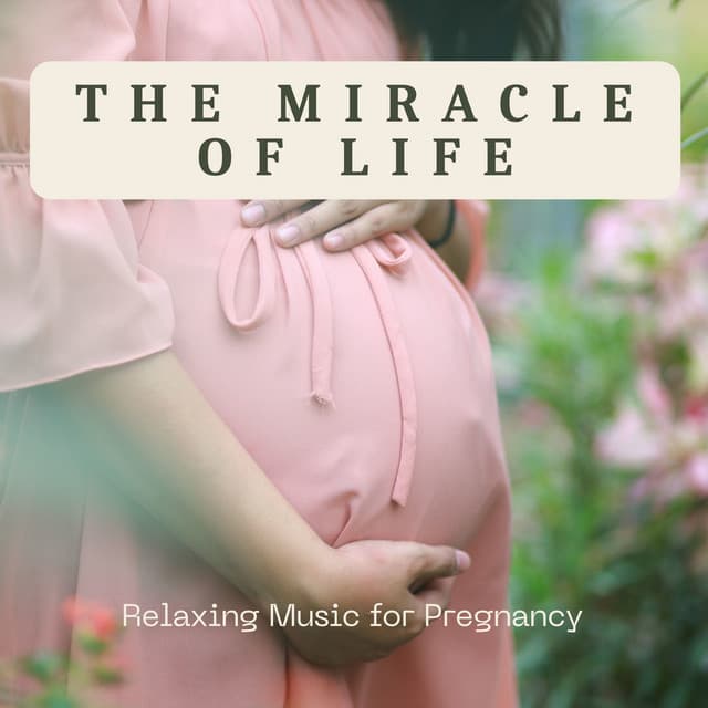 The Miracle of Life - Relaxing Music for Pregnancy - Pregnancy Relaxation Orchestra