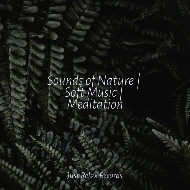 Sounds of Nature | Soft Music | Meditation - Naturaleza Sonidos