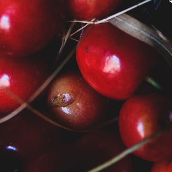 Cerezas - Clark Park