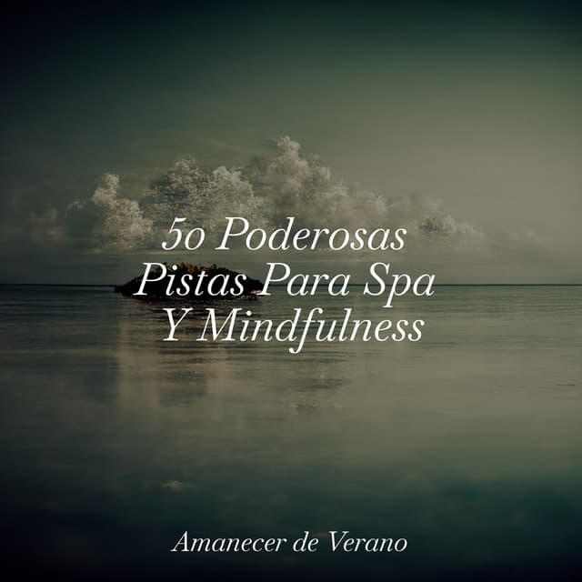 50 Poderosas Pistas Para Spa Y Mindfulness - Musica Relajante Specialistas & Musica Relajante