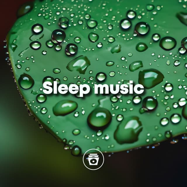 Sleep Music - Relaxing Music