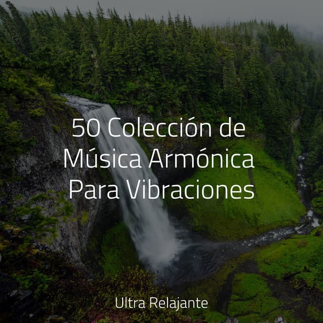 50 Colección de Música Armónica Para Vibraciones - Meditação Maestro