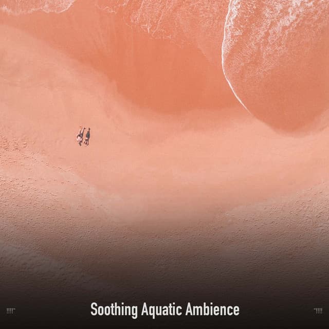 !!!!" Soothing Aquatic Ambience "!!!! - Ocean Waves