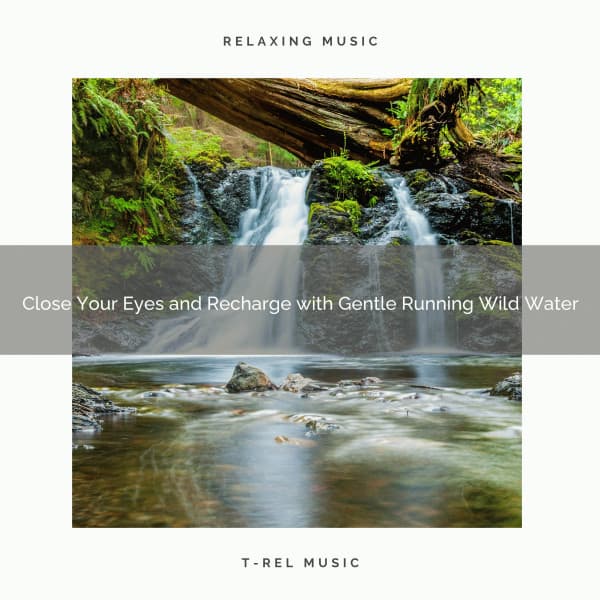 2021 New: Close Your Eyes and Recharge with Gentle Running Wild Water - Sleep Sound Library