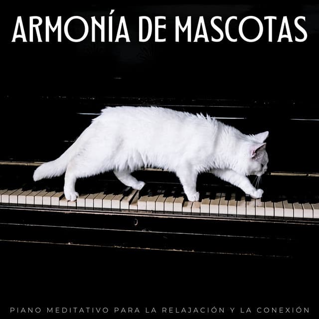 Armonía De Mascotas: Piano Meditativo Para La Relajación Y La Conexión - Piano de salón suave
