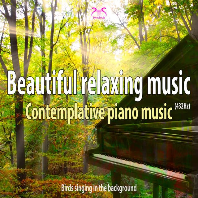 Beautiful Relaxing Music : Contemplative Piano Music - Torsten Abrolat