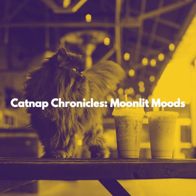 Catnap Chronicles: Moonlit Moods - Soothing Cat Music