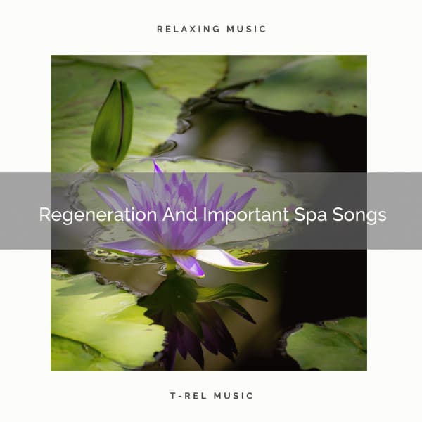Regeneration And Important Spa Songs - Spiritual Relax
