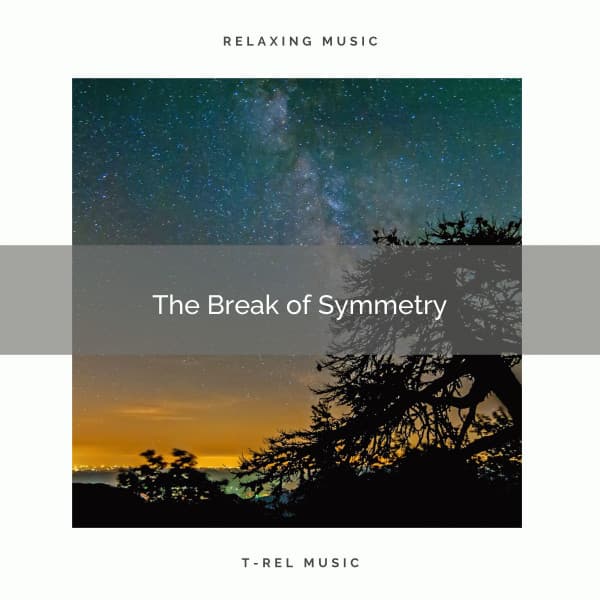 The Break of Symmetry - Cosmic Space Traveler