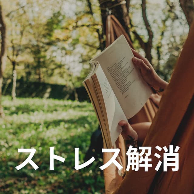 Stress Relief - リラクゼーション スパ