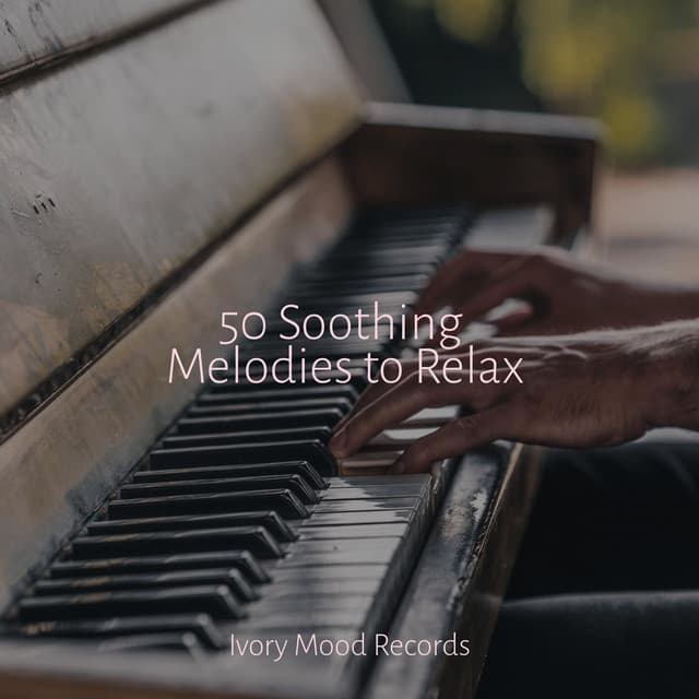 50 Soothing Melodies to Relax - Reiki Music