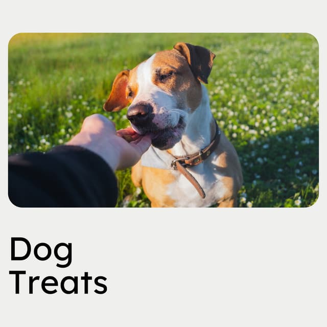 Dog Treats - Dog Sleep Dreams
