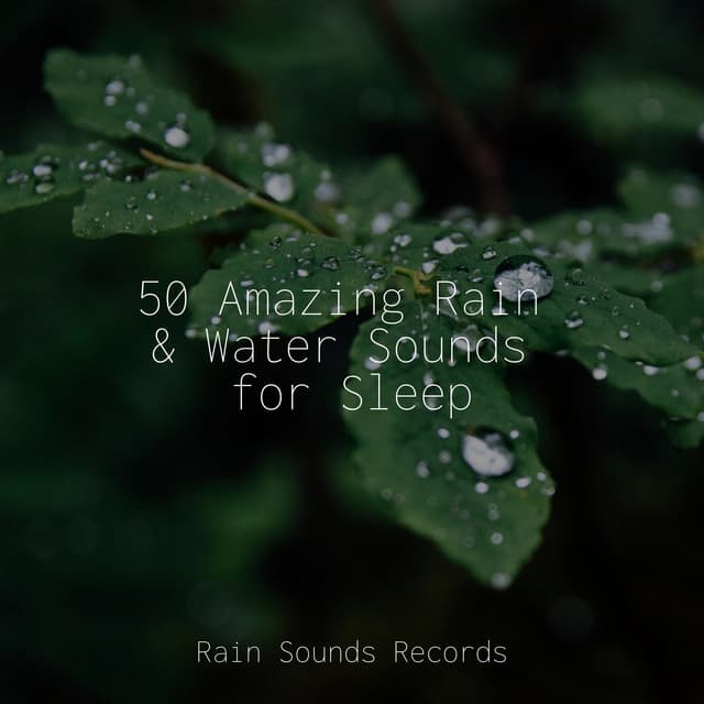 50 Amazing Rain & Water Sounds for Sleep - Musica de Relajación Academy