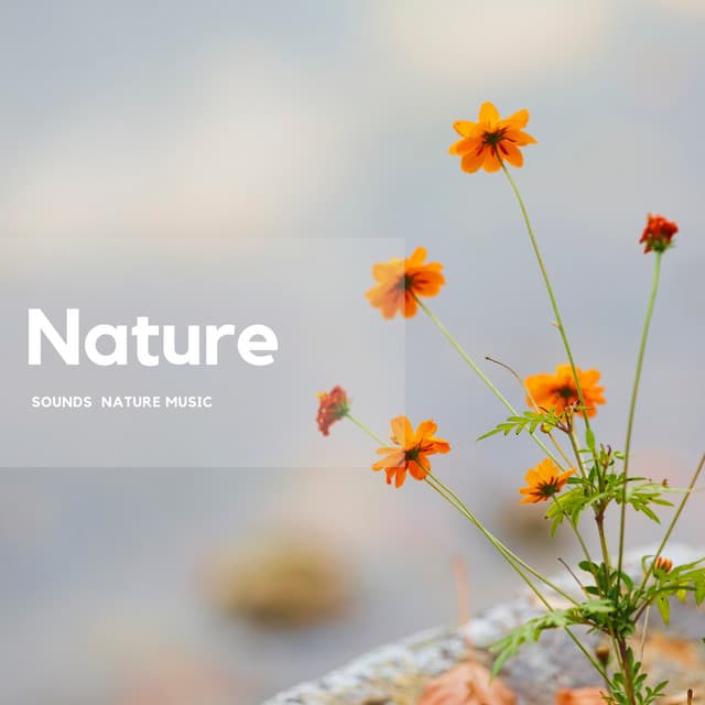 Serenity in Nature’s Pulse - Nature's Frequencies