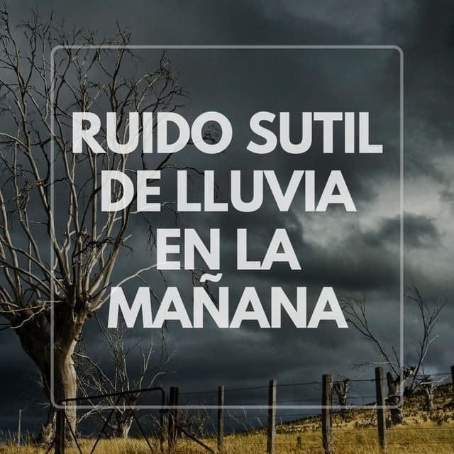 Ruido Sutil De Lluvia En La Mañana - Sonidos de lluvia ASMR