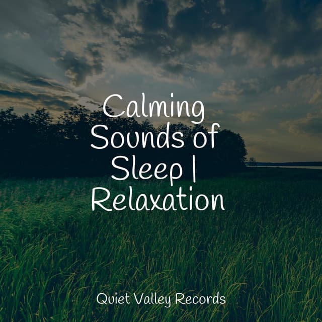 Calming Sounds of Sleep | Relaxation - Sound Sleeping