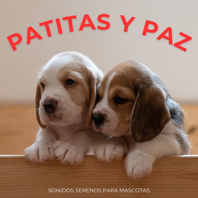 Patitas Y Paz: Sonidos Serenos Para Mascotas - Lista de reproducción feliz para relajarse